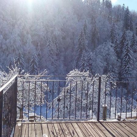 Turisticna Kmetija Weiss Villa Miklavz pri Taboru Exterior foto