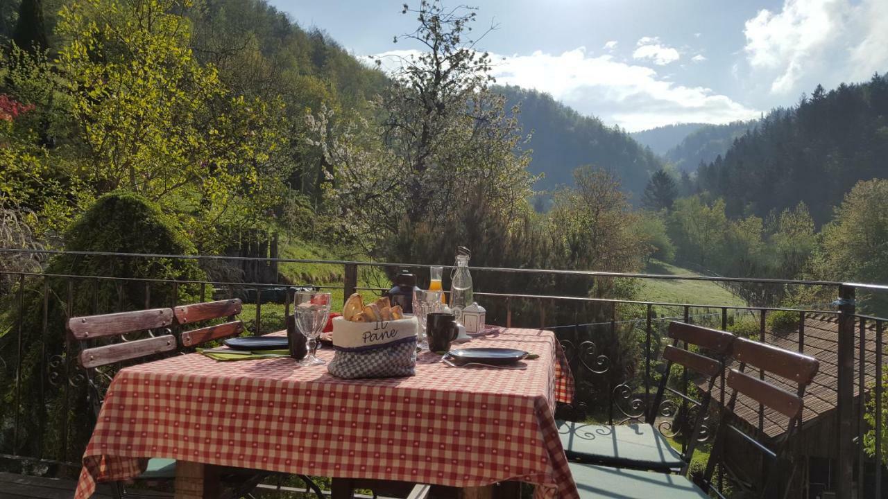 Turisticna Kmetija Weiss Villa Miklavz pri Taboru Exterior foto