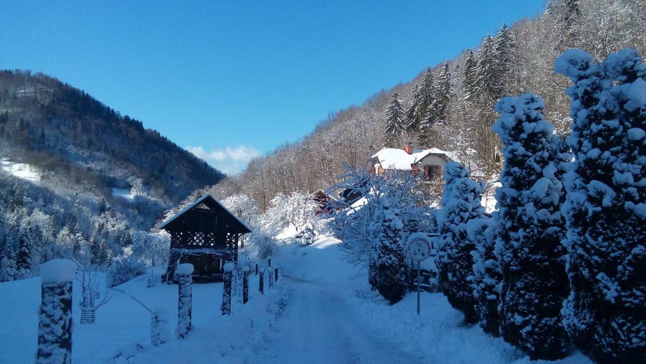 Turisticna Kmetija Weiss Villa Miklavz pri Taboru Exterior foto
